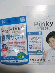 湖池屋 ピンキーフレッシュ Pinky FRESH 歯周サポート 乳酸菌LS1 クリーンミント味 60粒 賞味期限 2025.8