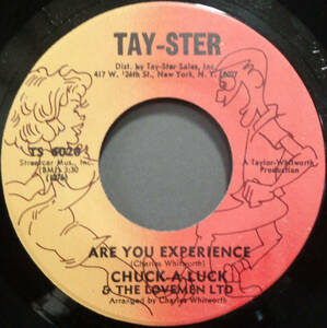 【SOUL 45】CHUCK-A-LUCK AND THE LOVEMEN LTD. - ARE YOU EXPERIENCE / WHIP YOU (s240129010)