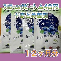 【4袋@700 計2800】ブルーベリー★シードコムス●12ヶ月_画像1