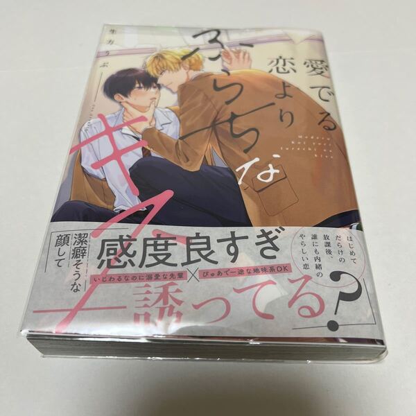 BL 4030 愛でる恋よりふらちなキス…生方うぶ