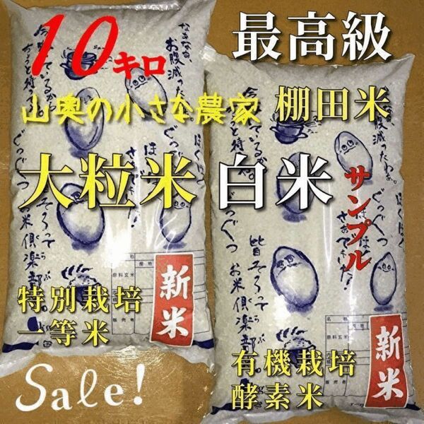 【希少】コシヒカリ　酵素米　玄米１０ｋｇ「標準白米に精米」令和５年新米　棚田米　無洗米　ミルキークィーン　ミルキークイーン　つや姫