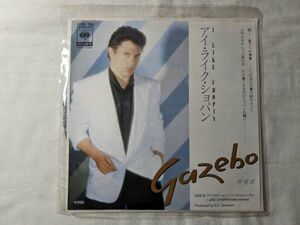 Gazebo I Like Chopin 7インチ 07SP 790