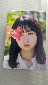 日向坂46 上村ひなの 写真集　そのままで ポストカード