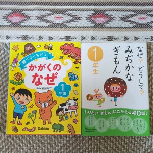 なぜ？どうして？みぢかなぎもん1年生★絵でよくわかる かがくのなぜ1年生　2冊セット