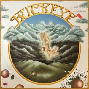 ●BUCKEYE ( 1979年作/ AOR/ American Rock/ Pop Rock ) ※アメリカ盤LP / プロモ・レコード (白ラベル)【 Polydor PD-1-6213 】1979年発売