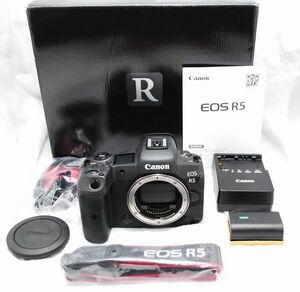 【超美品・付属品完備】Canon キヤノン EOS R5