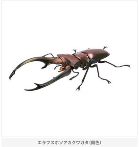 【即決】 エラフスホソアカクワガタ（銅色）　いきもの大図鑑 くわがた 07 バンダイ　ガチャ