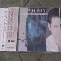 名盤・帯付き国内盤CD◆ブライアン・ウィルソン/ BRIAN WILSON◆2000年『BRIAN WILSON+14（デラックス・エディション）』_画像1