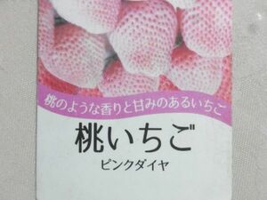 桃いちご ピンクダイヤ 　少し小さ目　苗１０本　その２