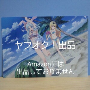 【開封品】ありふれた職業で世界最強 A4クリアファイル シア・ハウリア＆ユエ 水着 あり職 《匿名配送》