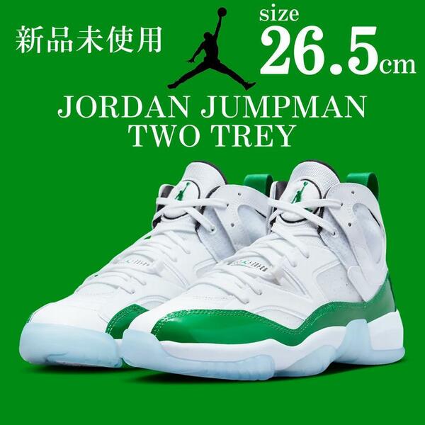 新品 ナイキ ジョーダン ジャンプマン トゥートレイ 26cm 白 緑 NIKE JORDAN JUMPMAN TWO TREY バスケットボール スニーカー シューズ 靴