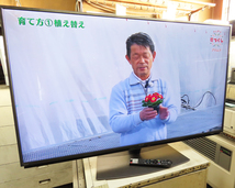 シャープ・55型・液晶テレビ・2022年製・4K・無線LAN対応・4T-C55DN1・美品・149562_画像10