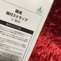 【銀魂】 根付ストラップ / 坂田銀時 坂田 銀時 万事屋 定春 / （検索用：根付け 根付 寝付け アクリルストラップ ）_画像5