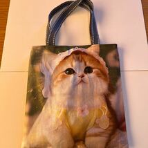 ミニトートバッグ リアル子猫　ハンドメイド⑩_画像1