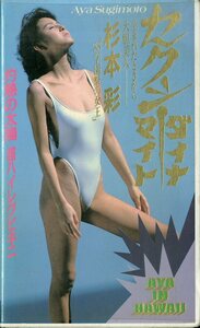 H00014939/VHSビデオ/杉本彩「セクシーダイナマイト」