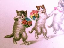 猫(12) S17◆アンティークポストカード フランス ドイツ ベルギー イタリア イギリス ネコ ねこ 子猫 外国絵葉書 ビンテージ_画像5