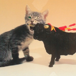 猫(12) R19◆ビンテージポストカード グリーティングカード スペイン フランス ドイツ ベルギー イタリア イギリス ネコ ねこ 子猫 闘牛