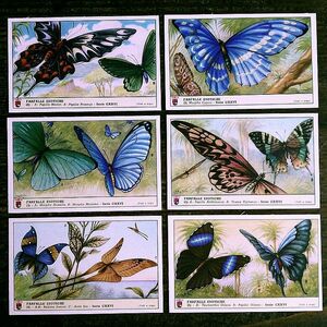 1957年イタリア◆エキゾチックな蝶6種 アンティーク ビンテージ クロモス カード R58　