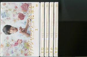 アルジャーノンに花束を/全5巻セット 中古DVD レンタル落ち/山下智久/栗山千明/a06/z7586