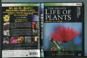 植物の世界 Episode3 : 蜜の誘惑/ 中古DVD レンタル落ち/デイビッド・アッテンボロー/z8352