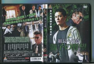 組長への道 獅子の野望/ 中古DVD レンタル落ち/原田桂佑/小沢仁志/y8996