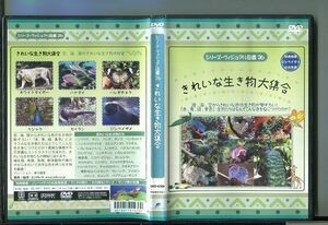 シリーズ・ヴィジュアル図鑑26 きれいな生き物大集合/ 中古DVD レンタル落ち/春日優里/y4414