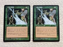 MTG 大地の知識 Earthcraft日本語版 ２枚 _画像1