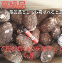 ！ねっとり柔らかい孫芋だけ！大分県産！里芋！A品　3Lサイズ　4キロ箱込み土つき_画像1