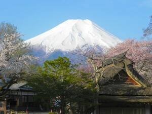 世界遺産 富士山31 写真 A4又は2L版 額付き
