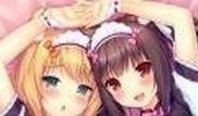 正規品 送料込み ネコぱら vol.3 とらのあな限定 特典 A3タペストリー さより NEKOWORKs ねこぱら nekopara