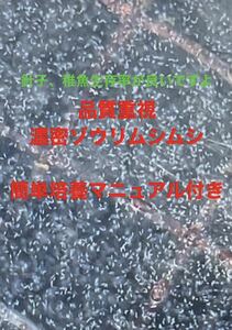 【花火めだか】ゾウリムシ、ミジンコ、ユーグレナ3種類セット　簡単培養マニュアル付き 