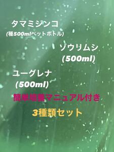 【花火めだか】ゾウリムシ、ミジンコ、ユーグレナ3種類セット　簡単培養マニュアル付き