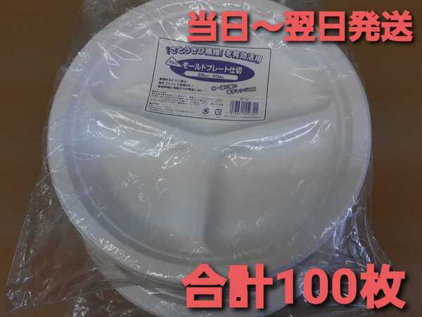 ★新品&未開封★使い捨て容器 パルプモールド さとうきび容器 プレート仕切り付26cm 環境 イベント キャンプ レジャー 合計100枚