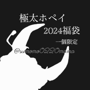 ホペイ　極太ホペイ　福袋2024 超絶ライン顎幅約8.4mm新種親最高クラス系入り　限定一個