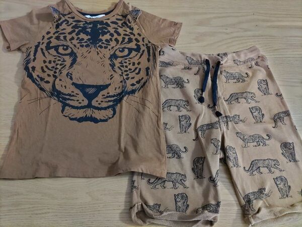 H&M。 ヒョウのセットアップ。サイズ140。 上下セット。豹。半袖Tシャツ。ハーフパンツ。