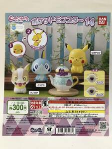 カプキャラ　CAPCHARA ポケットモンスター14　台紙 DP