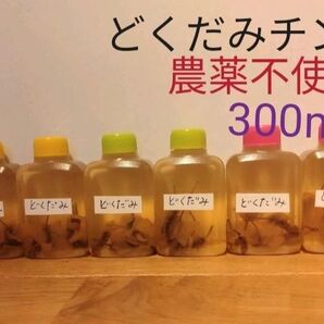 どくだみチンキ エキス 農薬不使用300ml