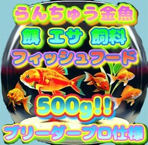 らんちゅう 餌 大盛500g!! 金魚 エサ プロ仕様 フィッシュフード 飼料 ブリーダーショップ水族館使用 熱帯魚 観賞魚 江戸錦 土佐錦 丹頂 g_画像1