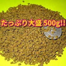 新販売 大粒 餌 たっぷりお徳500g!! プロ仕様! らんちゅう 金魚 獅子頭 飼料 フィッシュフード 熱帯魚 観賞魚 エサ ブリーダーショップ使用_画像4