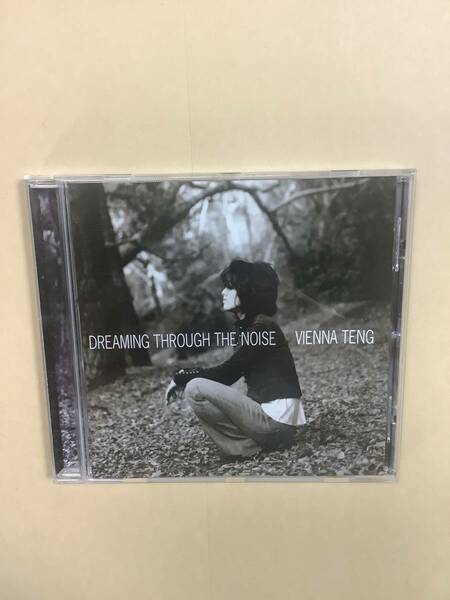 送料無料 VIENNA TENG「DREAMING THROUGH THE NOISE」輸入盤