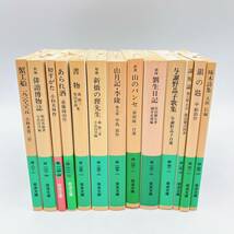 新品【岩波文庫】緑 ５３冊　まとめ売り　小説　踊る地平線/夏目漱石/明治文学回想集/社会百面相/雪/東京日記/山の絵本　他_画像6