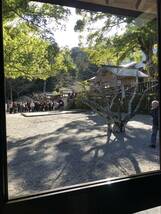 安房神社　金運御守り　1_画像7