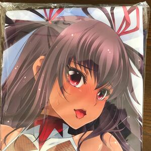 (正規品)水城ゆきかぜ抱き枕カバー　対魔忍RPGX