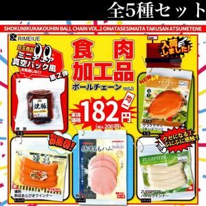 ■送料無料■ 食肉加工品 ボールチェーン vol.2 全5種セット /焼き豚/サラダチキン/ウインナー/ハム/真空パック風/ミニチュア/ぷにぷに感触