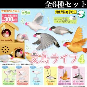 ■送料無料■ 文鳥ライフ4 全6種セット /白文鳥/桜文鳥/シナモン文鳥/小鳥/リアルなフィギュア/ガチャ