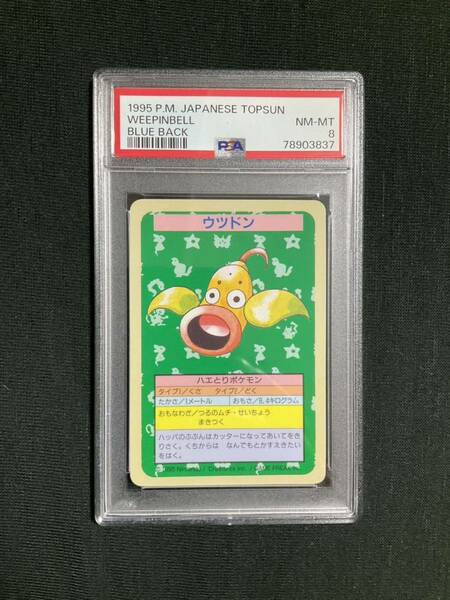 トップサン　ウツドン　番号なし　PSA 8