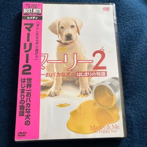 マーリー2