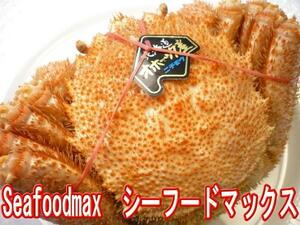 1【Max】最高級の北海道産 毛ガニ ボイル 極上 堅蟹３特 約650g 大好評 1円 数量限定