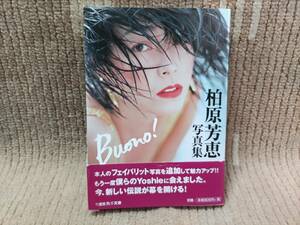 柏原芳恵 艶写文庫 写真集 Buono！ 帯付き 文庫本サイズ