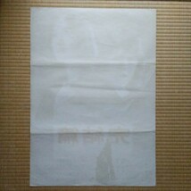 映画ポスター　愛と誠、完結篇　早乙女愛　加納竜　　Ｂ２サイズの２枚セット_画像10
